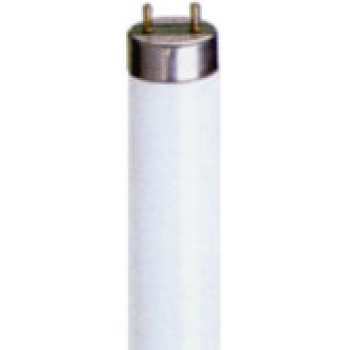 Lampada TLD 58W - 150cm