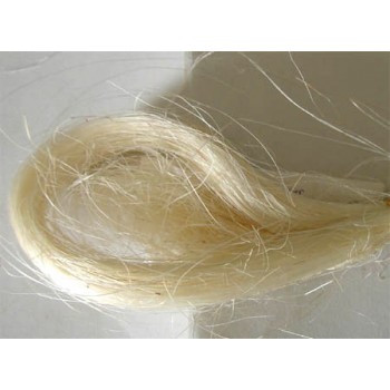 Sisal em Rama