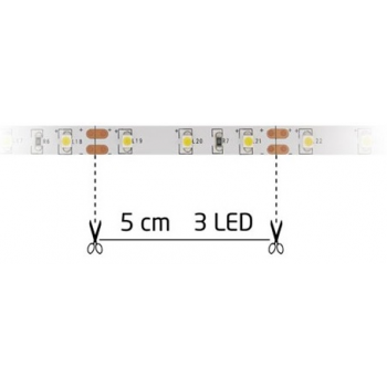 FITA 300 LEDS 12V - 5 MTS