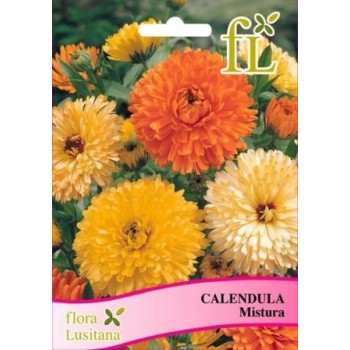 Calendula - Mistura