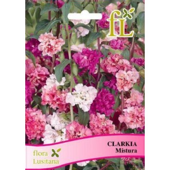 Clarkia - Mistura