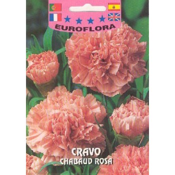 Cravo Chabaud - Rosa