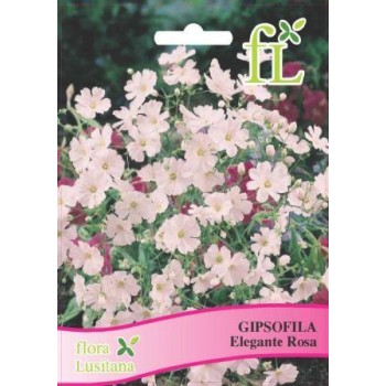 Gipsofila Elegante - Rosa