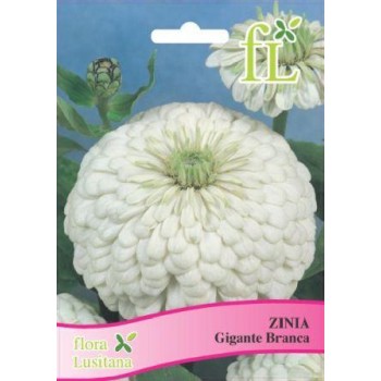 Zinia - Gigante Amarela