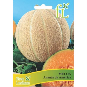 Meloa Ananás da América - 10 gr