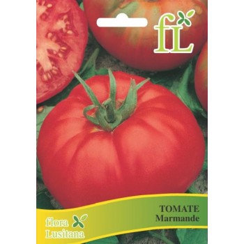 Tomate Marmande - 5 gr