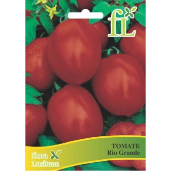 Tomate Rio Grande - 5 gr